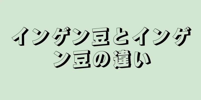 インゲン豆とインゲン豆の違い