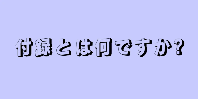 付録とは何ですか?