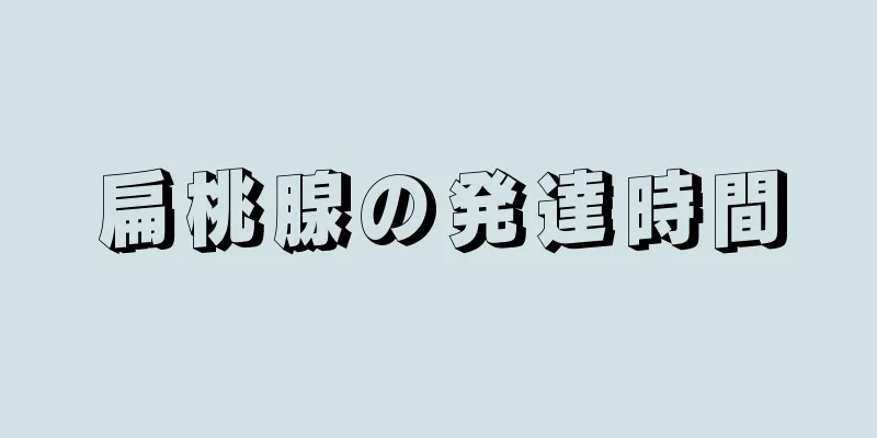 扁桃腺の発達時間