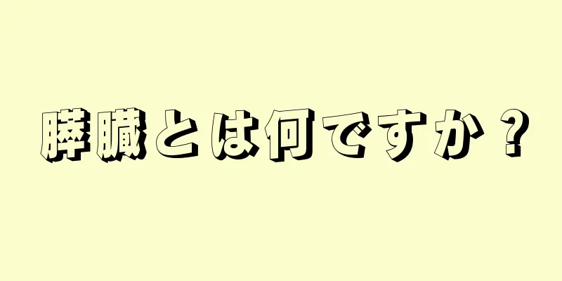 膵臓とは何ですか？