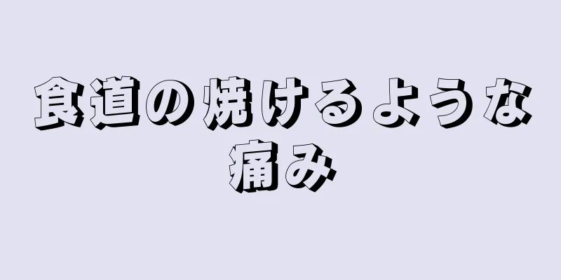 食道の焼けるような痛み