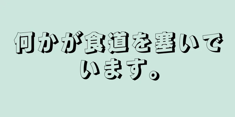 何かが食道を塞いでいます。