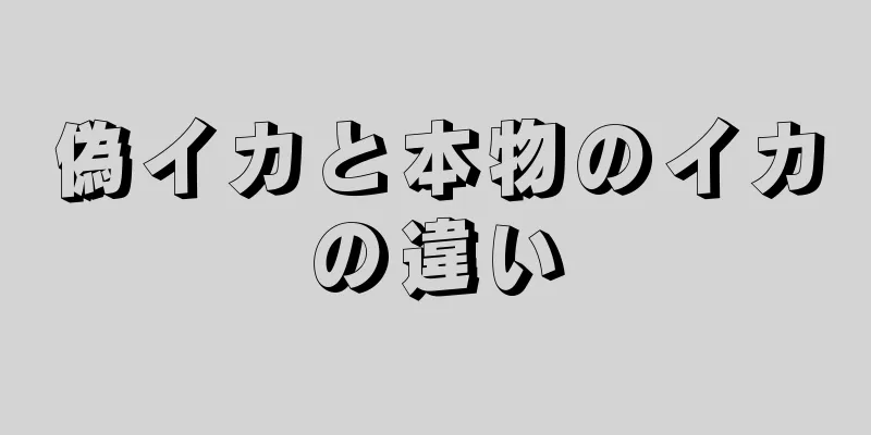 偽イカと本物のイカの違い