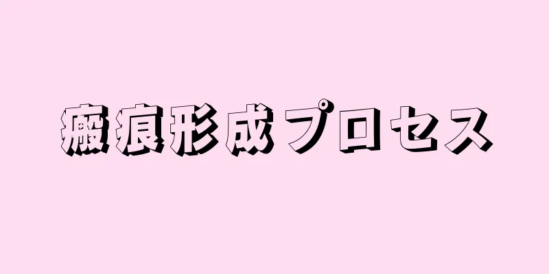 瘢痕形成プロセス