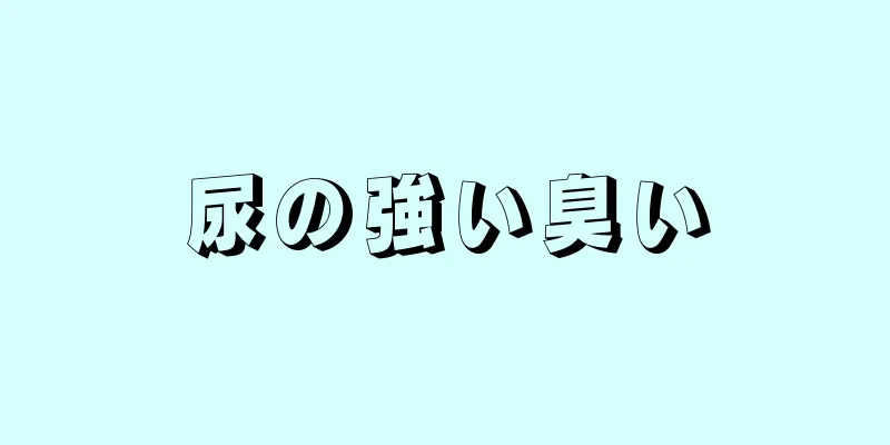 尿の強い臭い