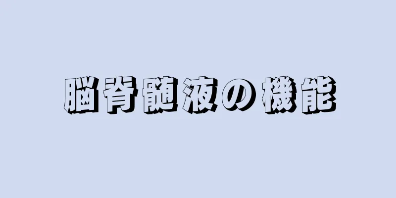 脳脊髄液の機能