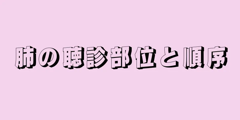 肺の聴診部位と順序