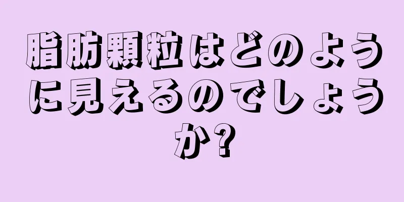 脂肪顆粒はどのように見えるのでしょうか?