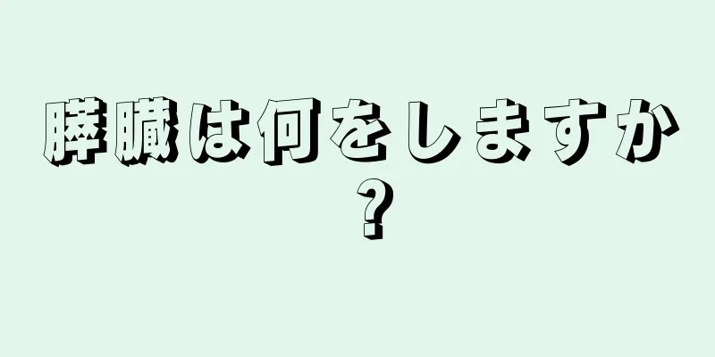 膵臓は何をしますか？