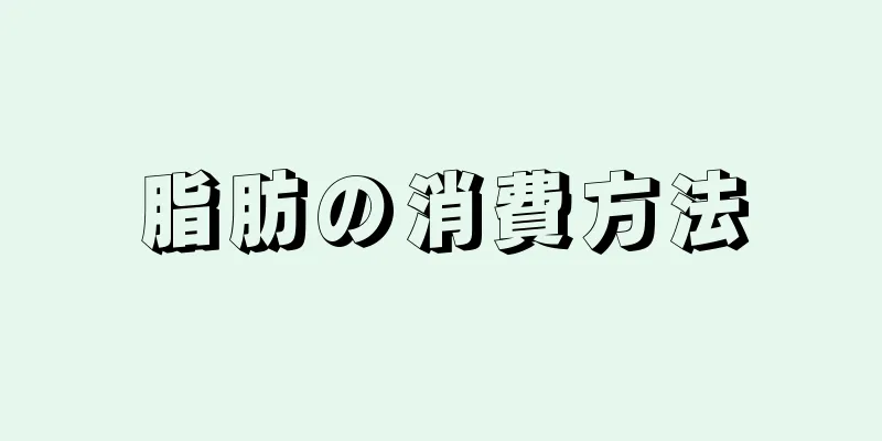 脂肪の消費方法