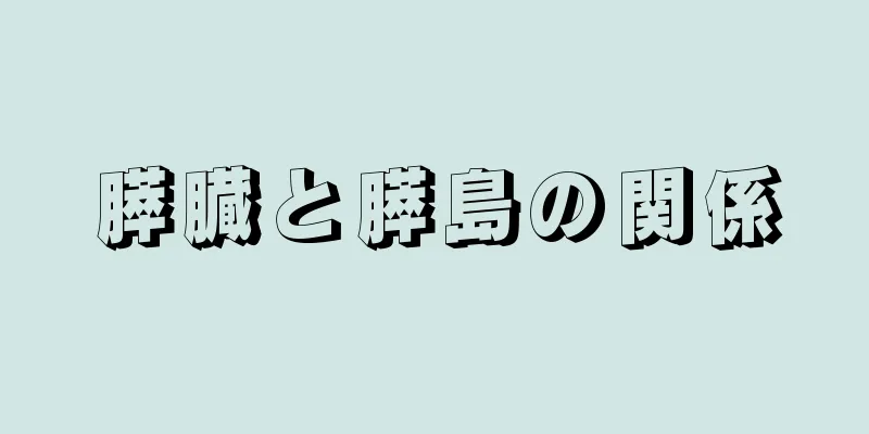 膵臓と膵島の関係