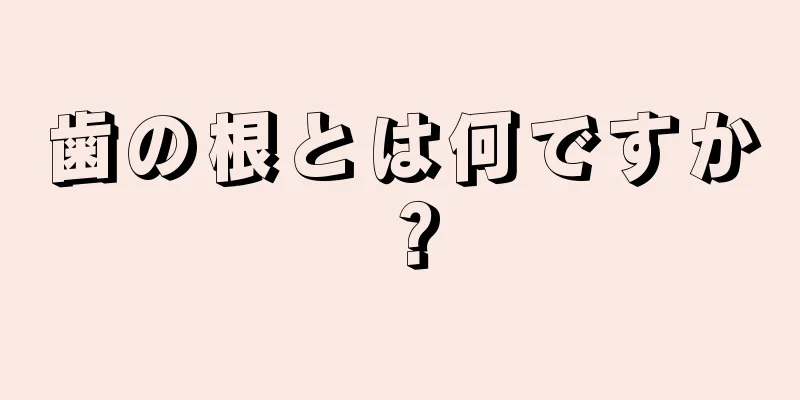 歯の根とは何ですか？