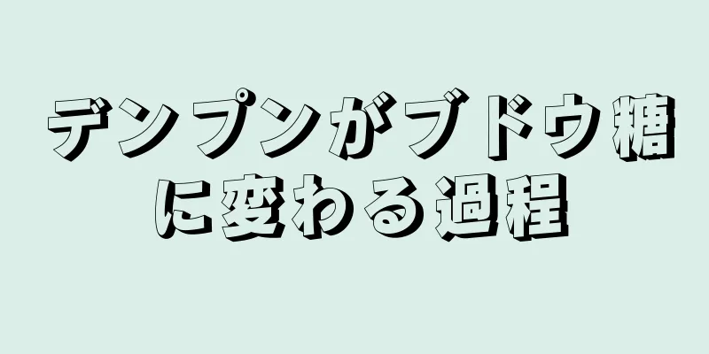 デンプンがブドウ糖に変わる過程