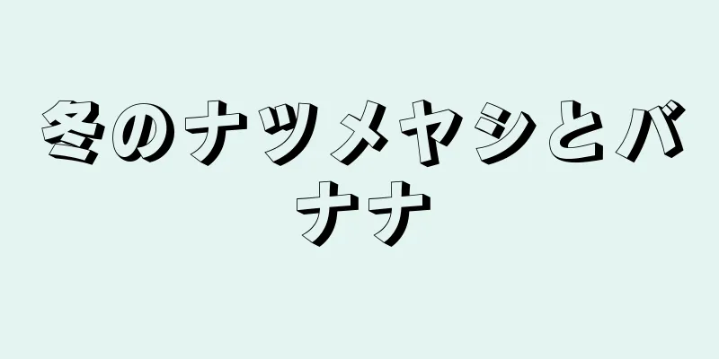 冬のナツメヤシとバナナ