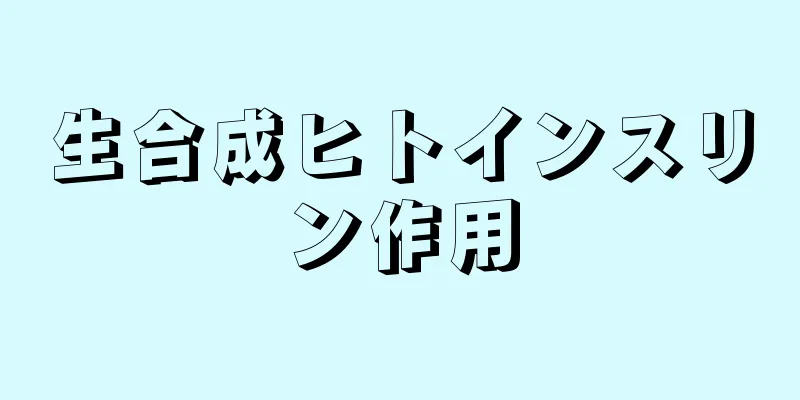 生合成ヒトインスリン作用