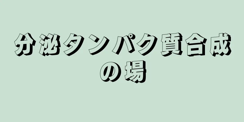 分泌タンパク質合成の場