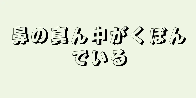 鼻の真ん中がくぼんでいる