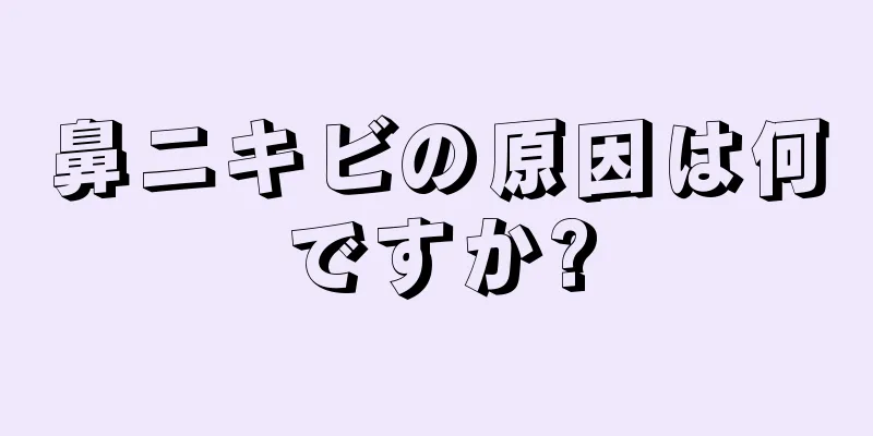 鼻ニキビの原因は何ですか?