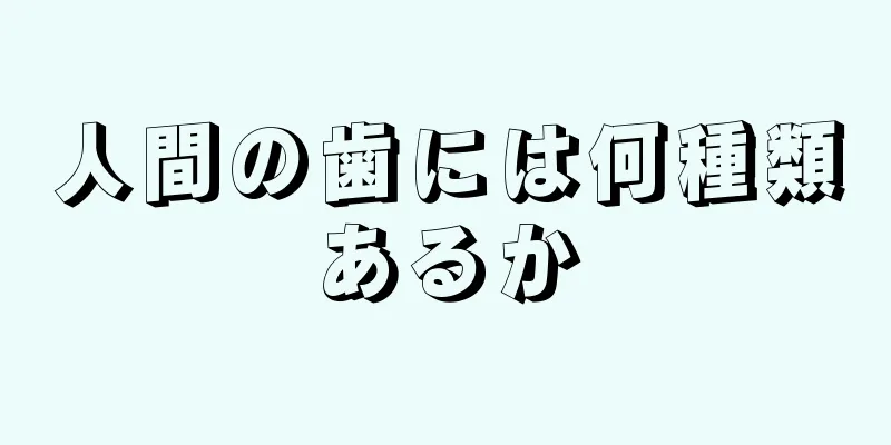 人間の歯には何種類あるか