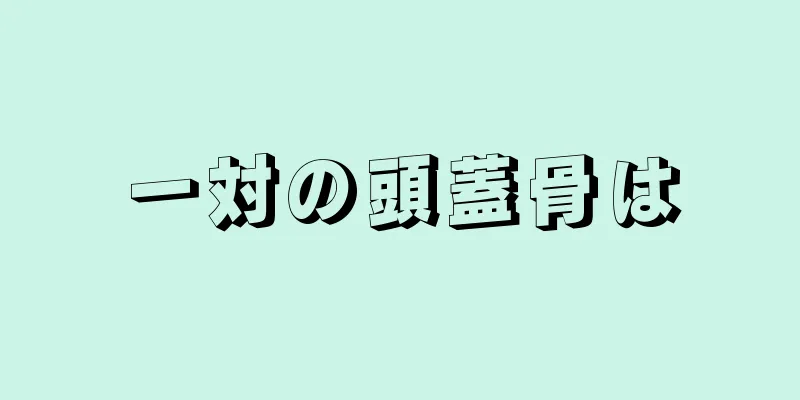 一対の頭蓋骨は