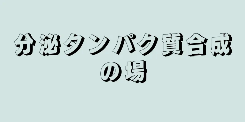 分泌タンパク質合成の場