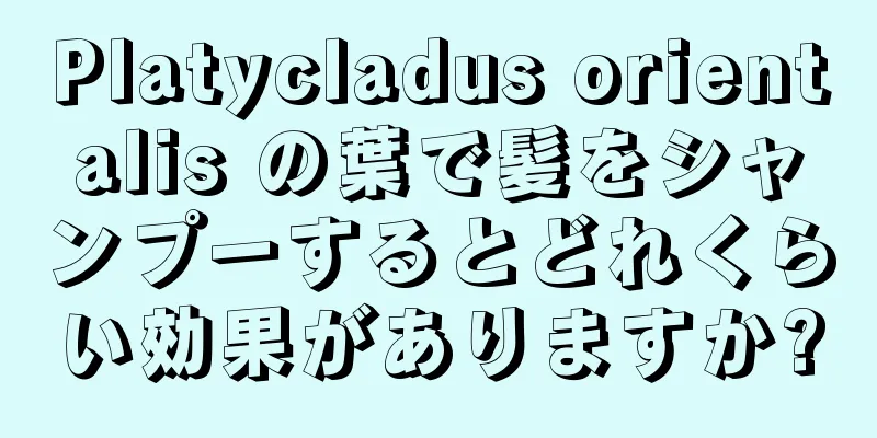 Platycladus orientalis の葉で髪をシャンプーするとどれくらい効果がありますか?