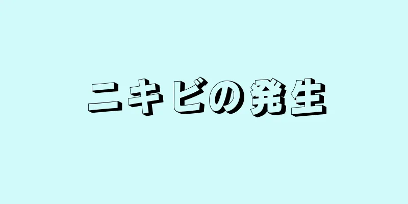 ニキビの発生