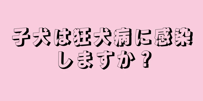 子犬は狂犬病に感染しますか？