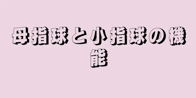 母指球と小指球の機能