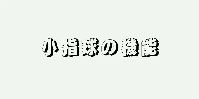 小指球の機能