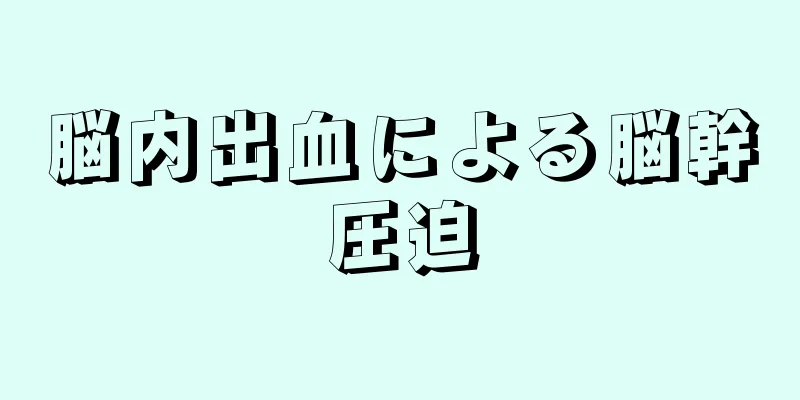 脳内出血による脳幹圧迫