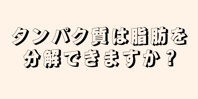 タンパク質は脂肪を分解できますか？