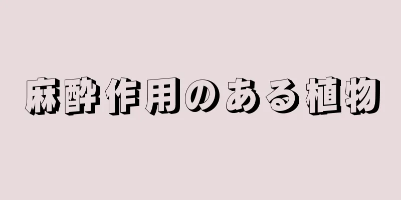 麻酔作用のある植物