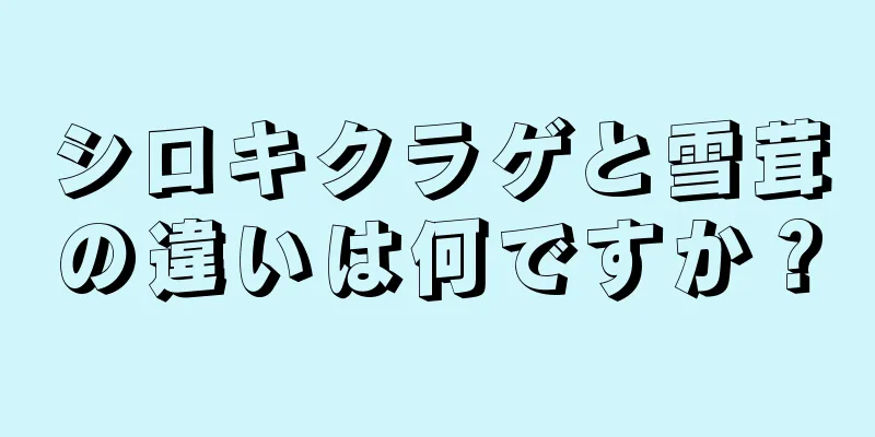 シロキクラゲと雪茸の違いは何ですか？