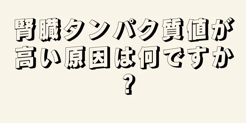 腎臓タンパク質値が高い原因は何ですか？