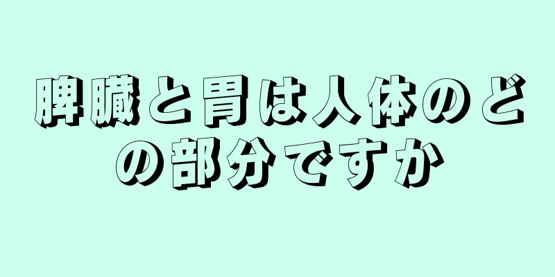 脾臓と胃は人体のどの部分ですか