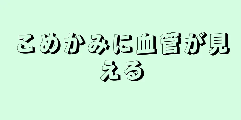 こめかみに血管が見える