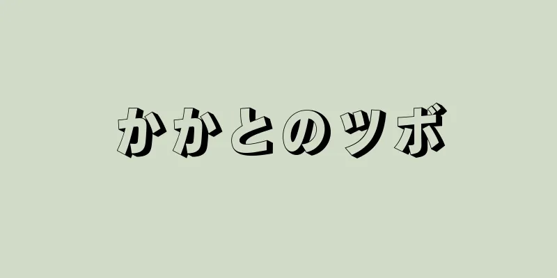 かかとのツボ