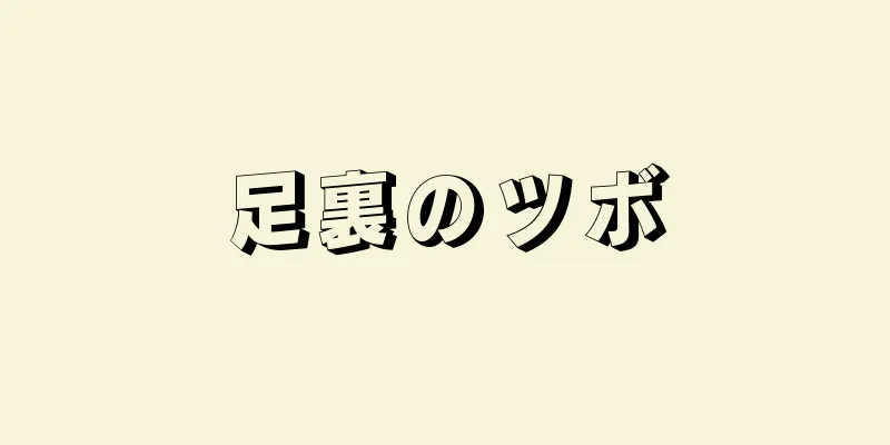 足裏のツボ