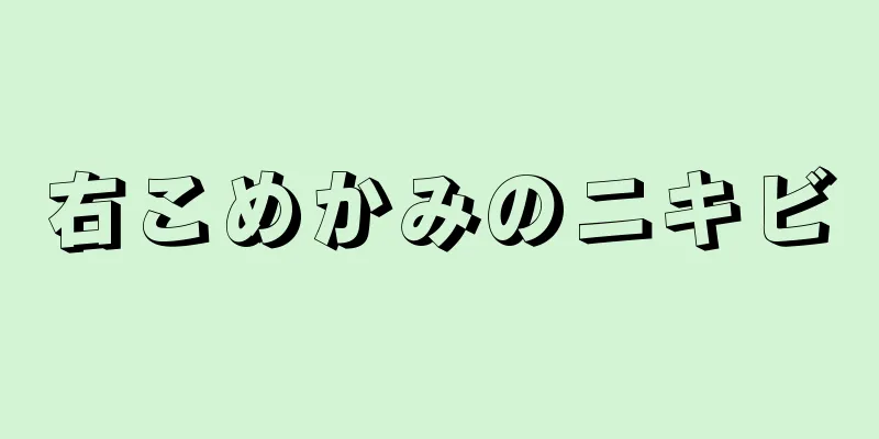 右こめかみのニキビ