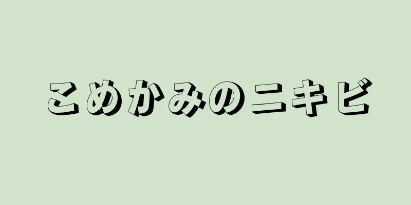 こめかみのニキビ