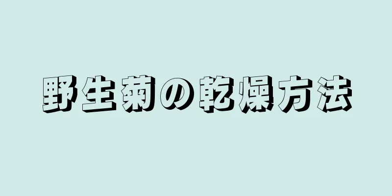 野生菊の乾燥方法