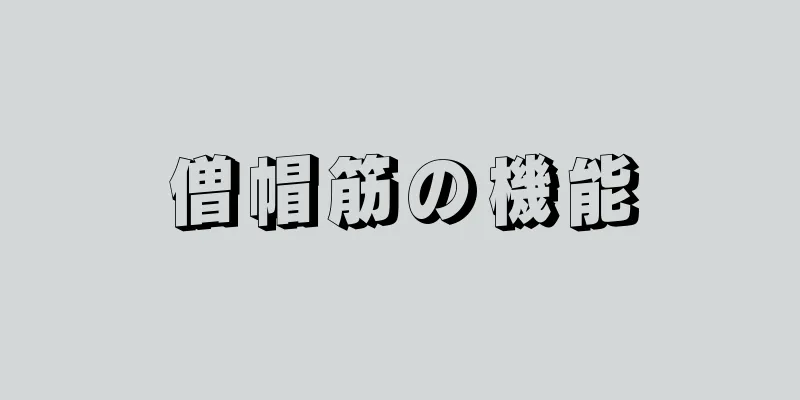 僧帽筋の機能