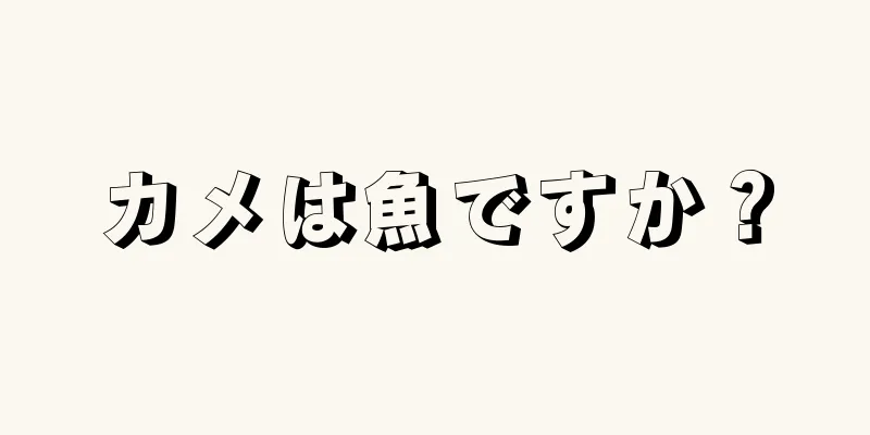 カメは魚ですか？