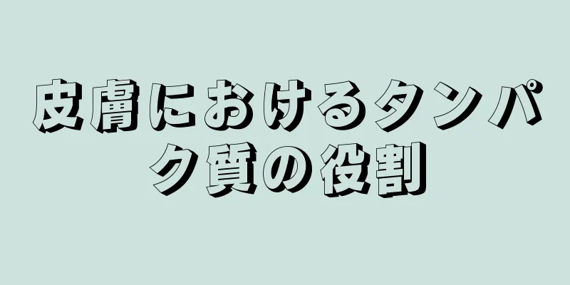 皮膚におけるタンパク質の役割