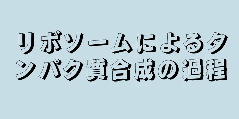 リボソームによるタンパク質合成の過程