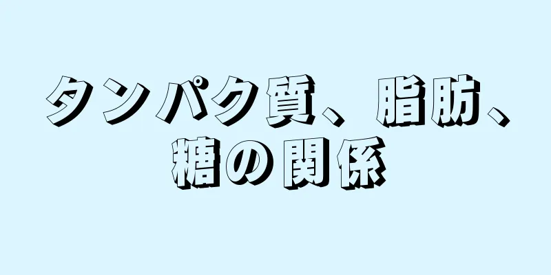 タンパク質、脂肪、糖の関係