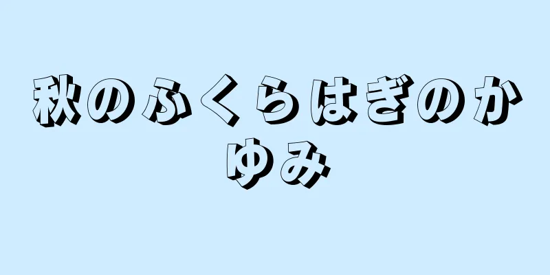 秋のふくらはぎのかゆみ