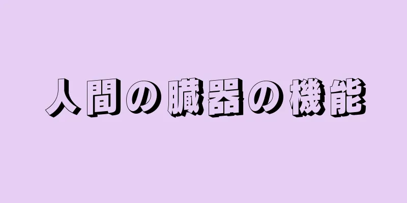 人間の臓器の機能