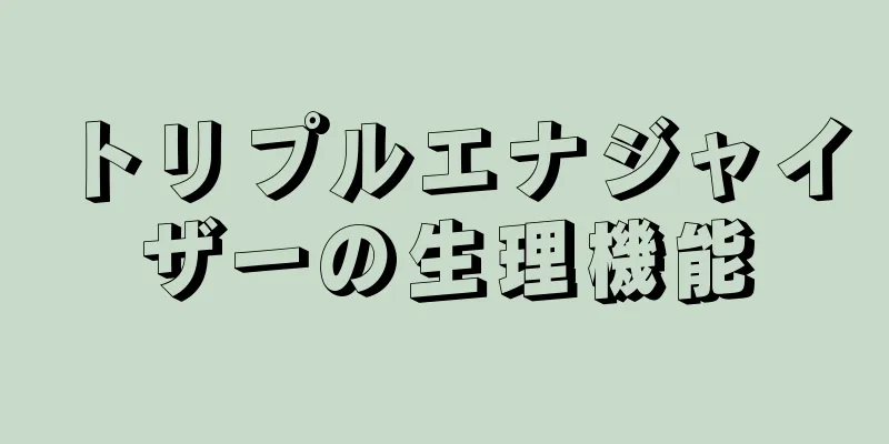 トリプルエナジャイザーの生理機能